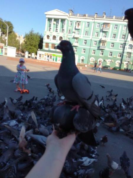 Daily Picdump