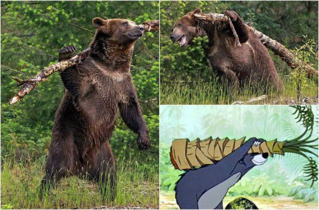 Daily Picdump