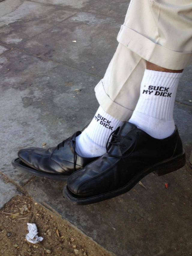 Daily Picdump