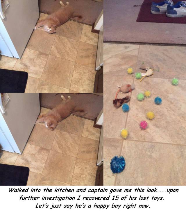 Content Image