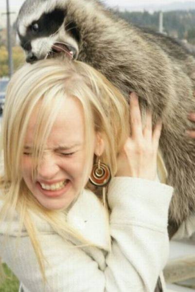 These Girls Will Show You What Insanity Is!