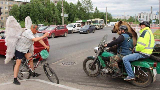 Daily Picdump