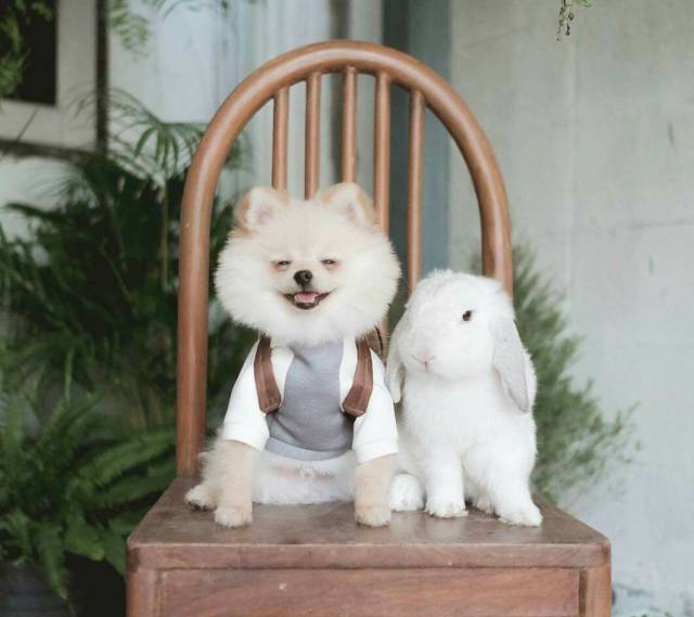Daily Picdump