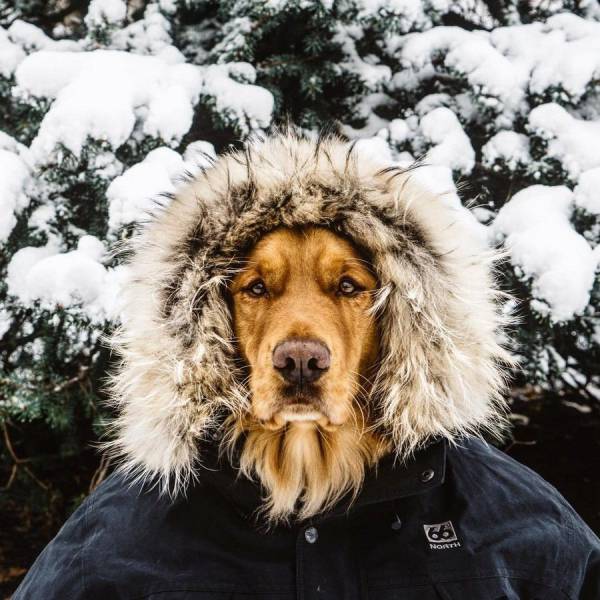 Daily Picdump