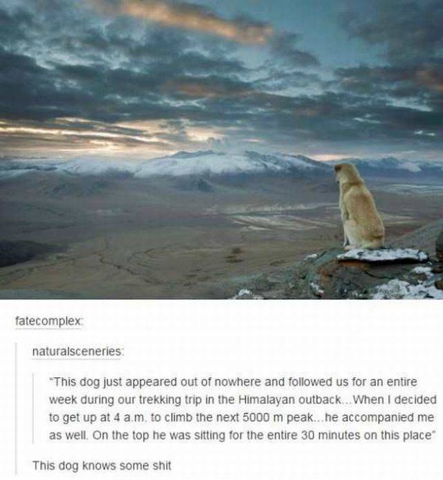 Daily Picdump