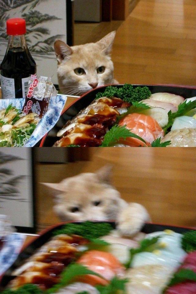 Content Image