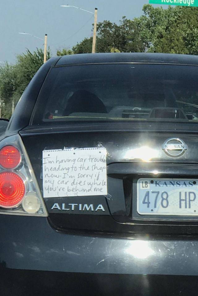 Daily Picdump