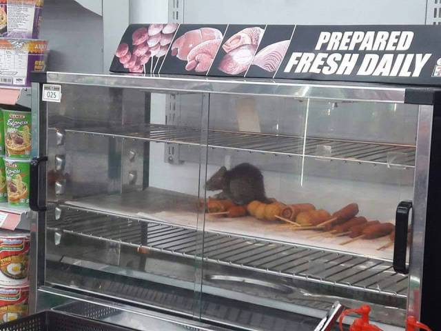 Morning Picdump