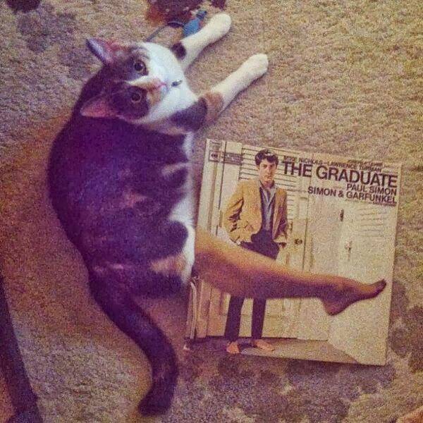 Morning Picdump