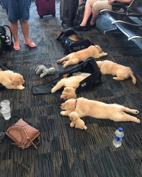 Morning Picdump