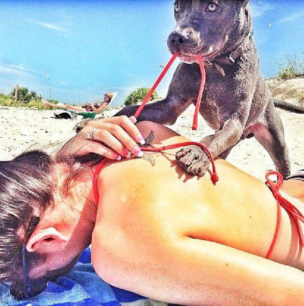 Morning Picdump