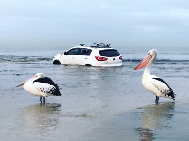 Morning Picdump