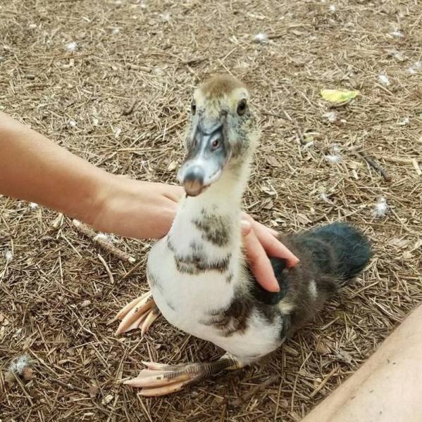Daily Picdump