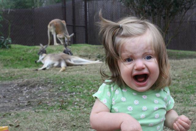 Daily Picdump