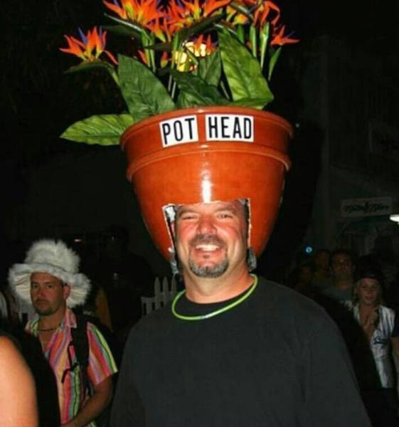 Daily Picdump