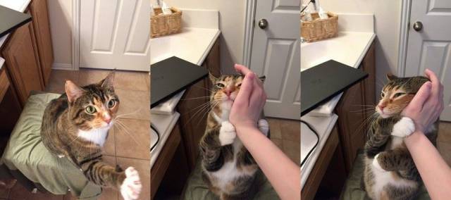 Daily Picdump