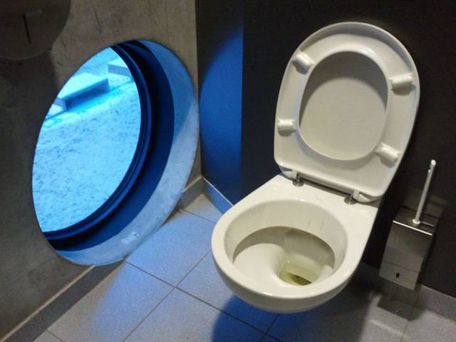 Content Image