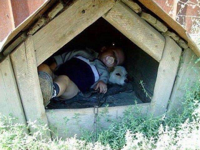 Content Image
