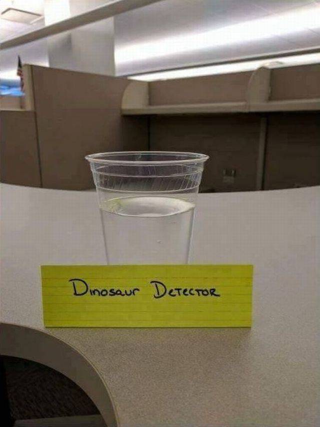 Daily Picdump