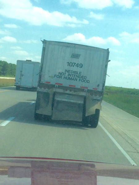 Morning Picdump
