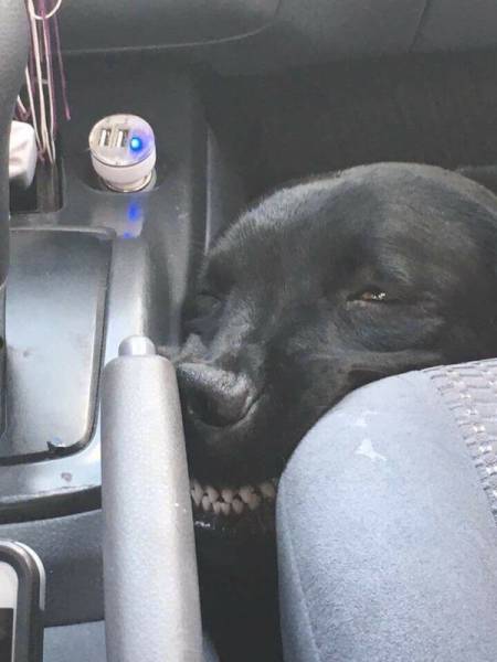 Morning Picdump