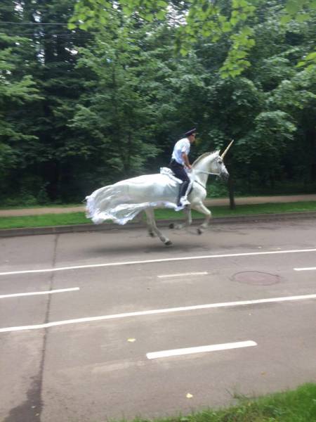 Morning Picdump