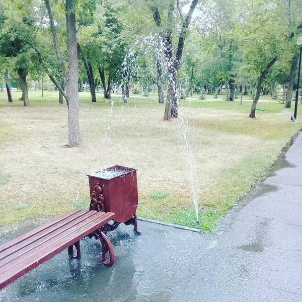 Morning Picdump