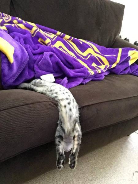 Morning Picdump