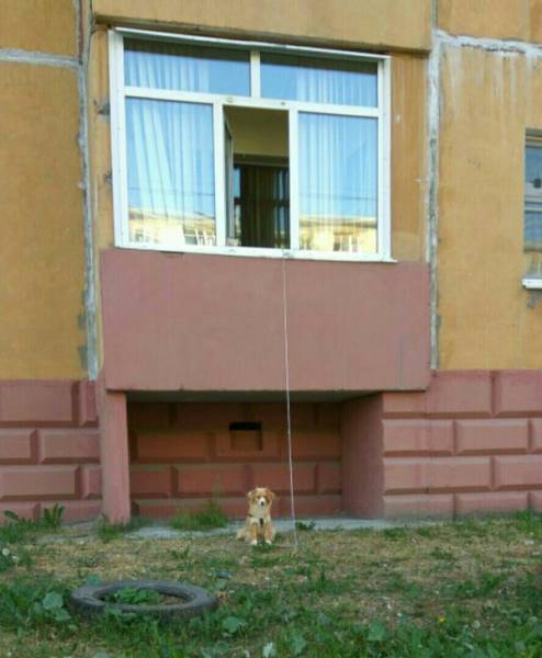 Morning Picdump
