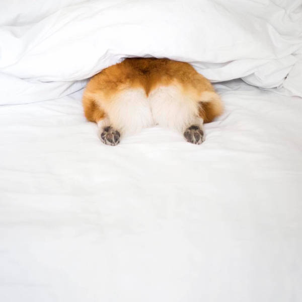 Morning Picdump