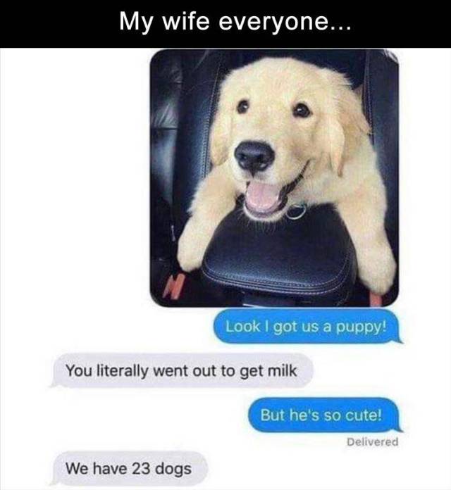 Content Image
