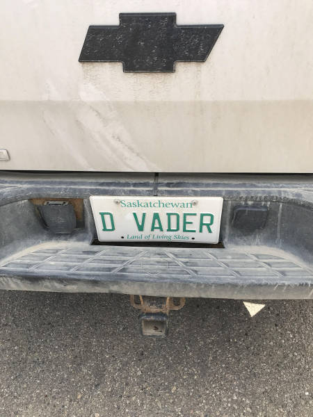 Morning Picdump