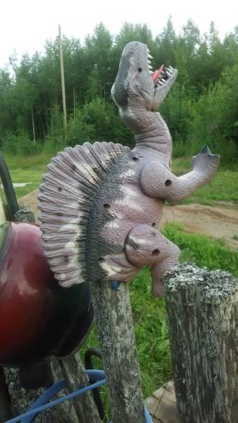 Morning Picdump