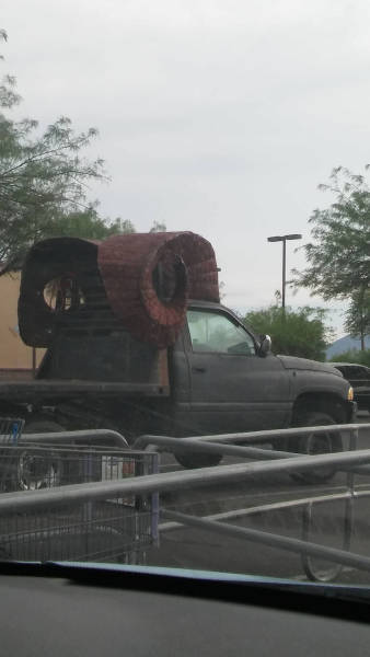 Morning Picdump