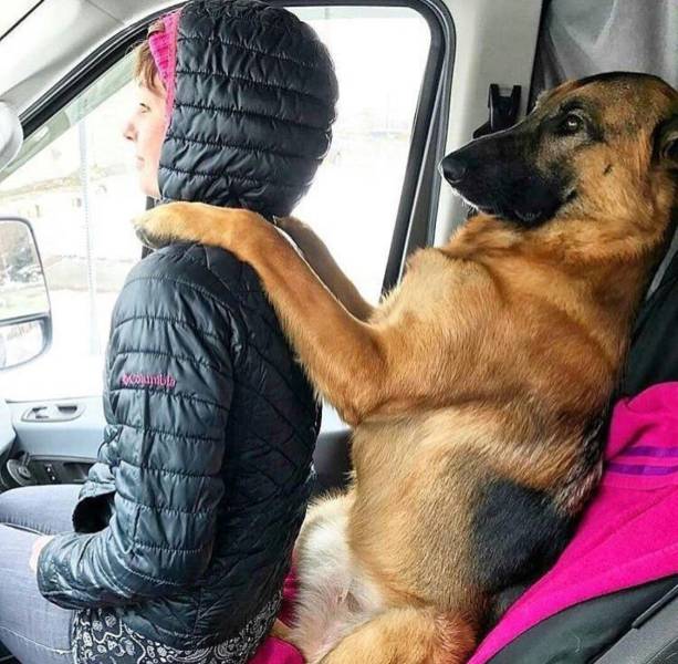 Morning Picdump