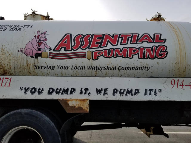 Content Image