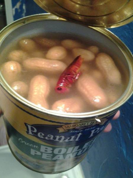 Daily Picdump