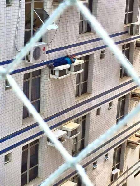 What And Why The Hell?!