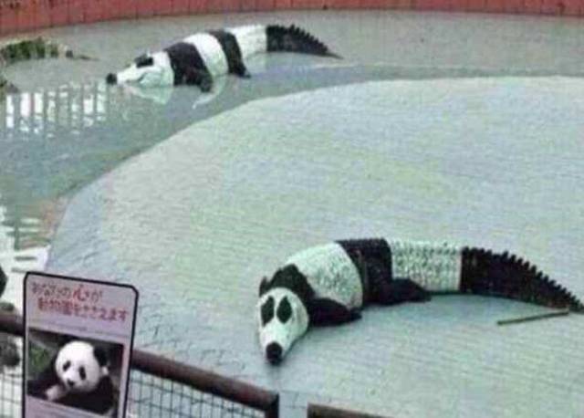 What And Why The Hell?!