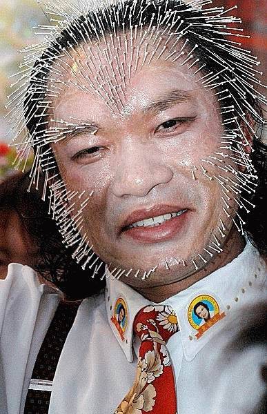 What And Why The Hell?!