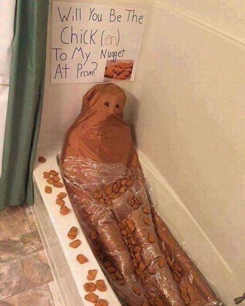 What And Why The Hell?!