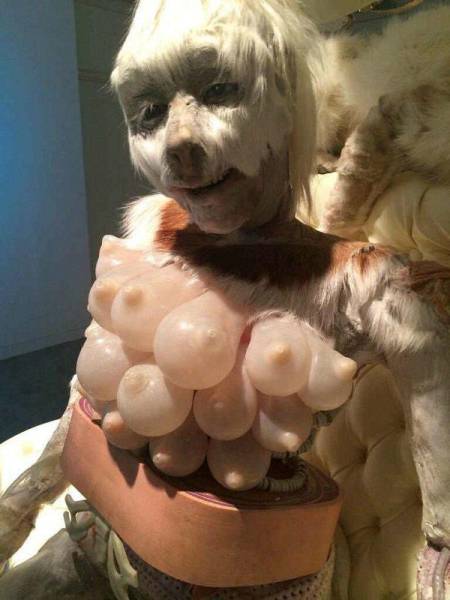 What And Why The Hell?!