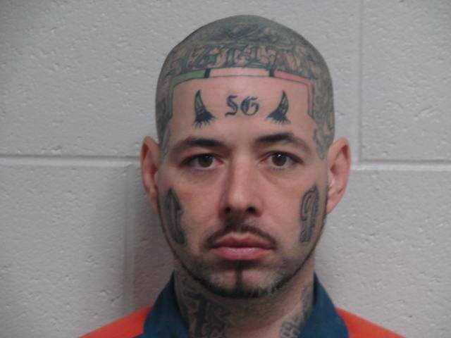 What And Why The Hell?!