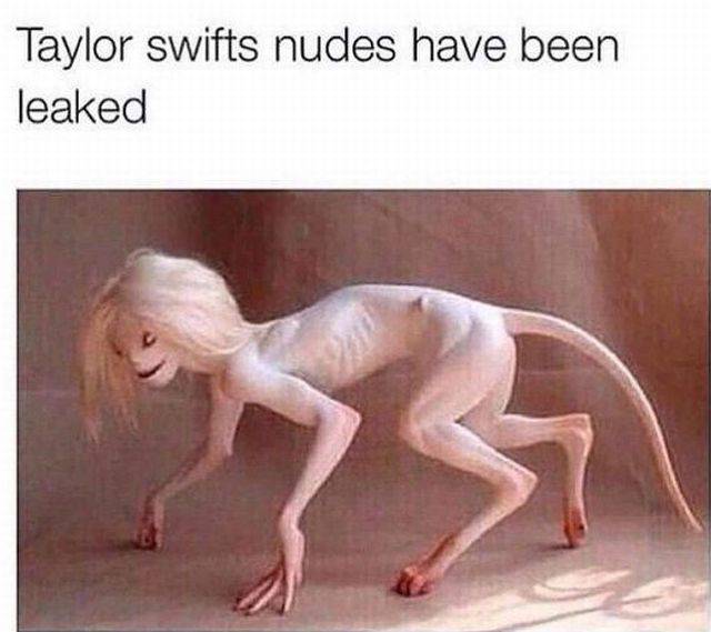 What And Why The Hell?!