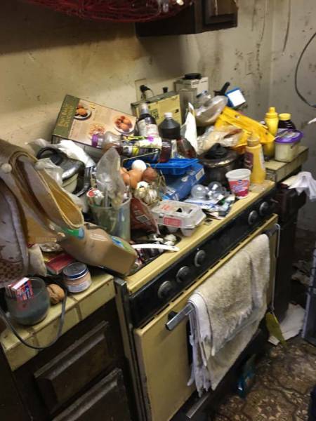 What And Why The Hell?!