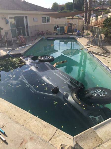 Daily Picdump
