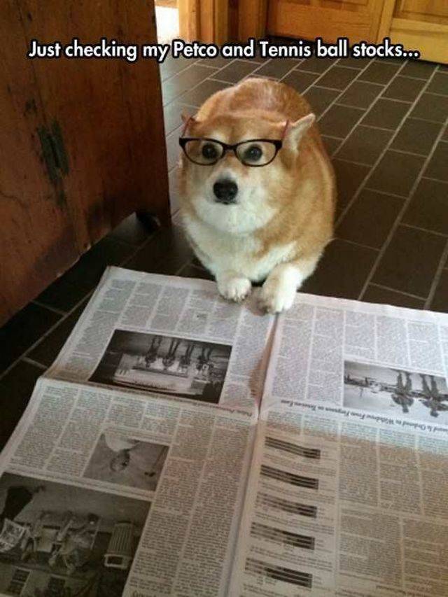 Content Image