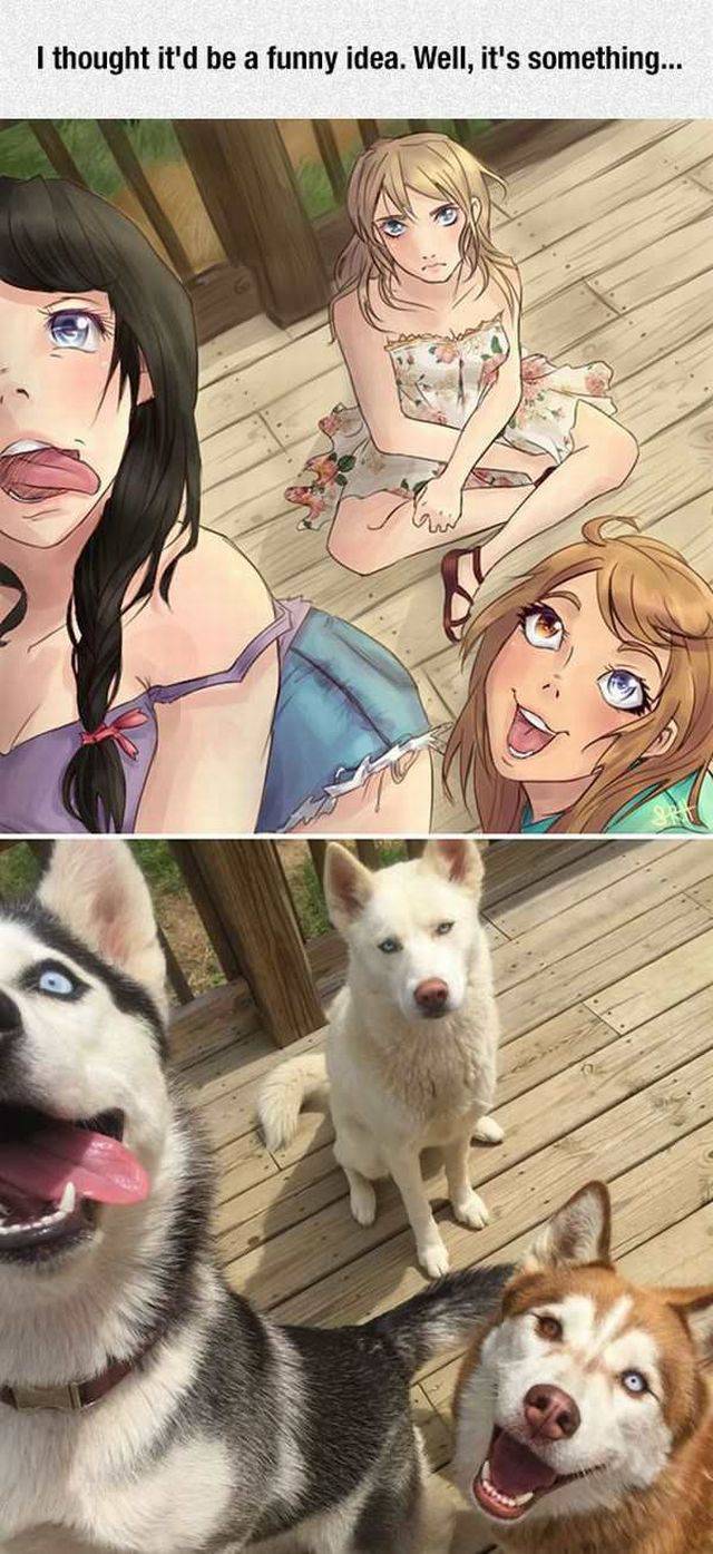 Content Image