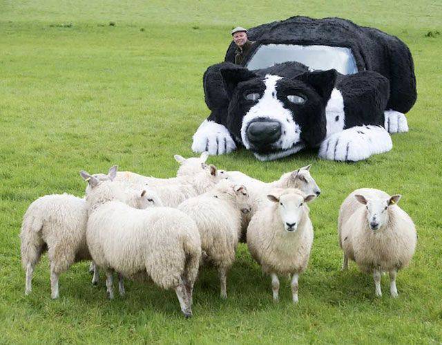 Daily Picdump