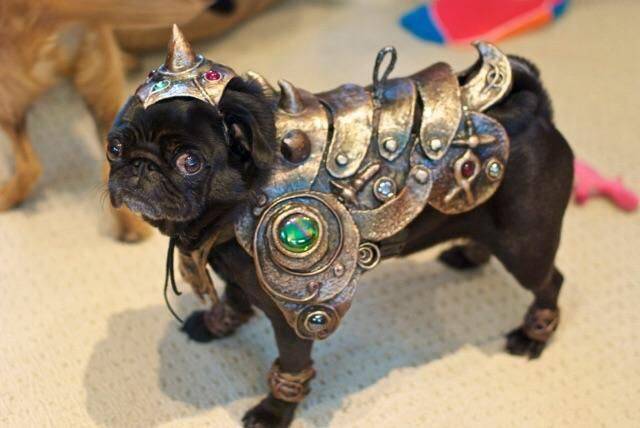 Daily Picdump